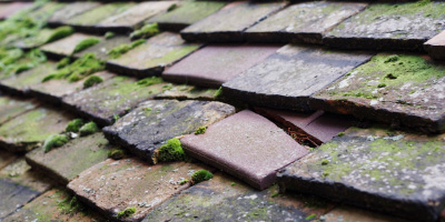 Wilstead roof repair costs